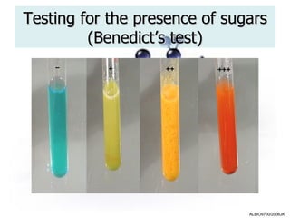 Testing for the presence of sugars
         (Benedict’s test)




                               ALBIO9700/2006JK
 