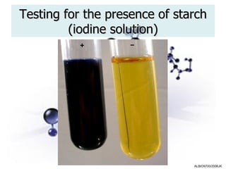 Testing for the presence of starch
         (iodine solution)




                               ALBIO9700/2006JK
 