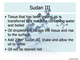 Sudan III
• Tissue that has been ground up is
  transferred to a test tube containing water
  and boiled
• Oil droplets will escape the tissue and rise
  to the surface
• Add 2 cm3 Sudan III, shake and allow the
  oil to settle
• Oil will be stained red

                                          ALBIO9700/2006JK
 