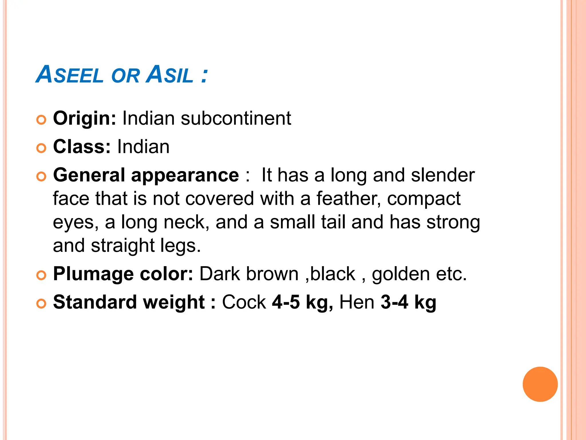 Identification of different Breeds of Poultry Chicken.pptx