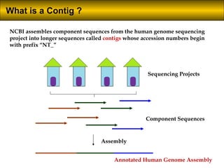 Identification of disease genes | PPT