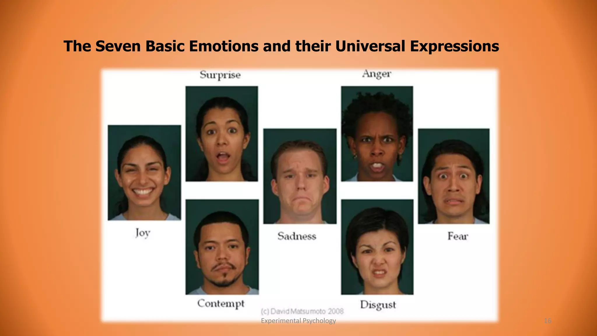 The Seven Basic Emotions and their Universal Expressions 
Experimental Psychology 16 
 
