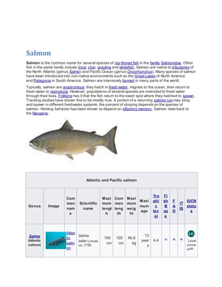 Oncorh
ynchus
(Pacific
salmon)
Chin
ook
salm
on
Oncorhync
hus
tshawytsch
a (Walbaum,
1792)
150
cm
70 c
m
61.4
kg
9
year
s
...