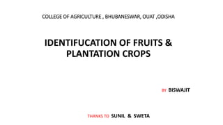 COLLEGE OF AGRICULTURE , BHUBANESWAR, OUAT ,ODISHA
IDENTIFUCATION OF FRUITS &
PLANTATION CROPS
BY BISWAJIT
THANKS TO SUNIL & SWETA
 