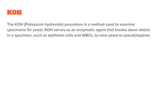 Identification of fungi.pptx