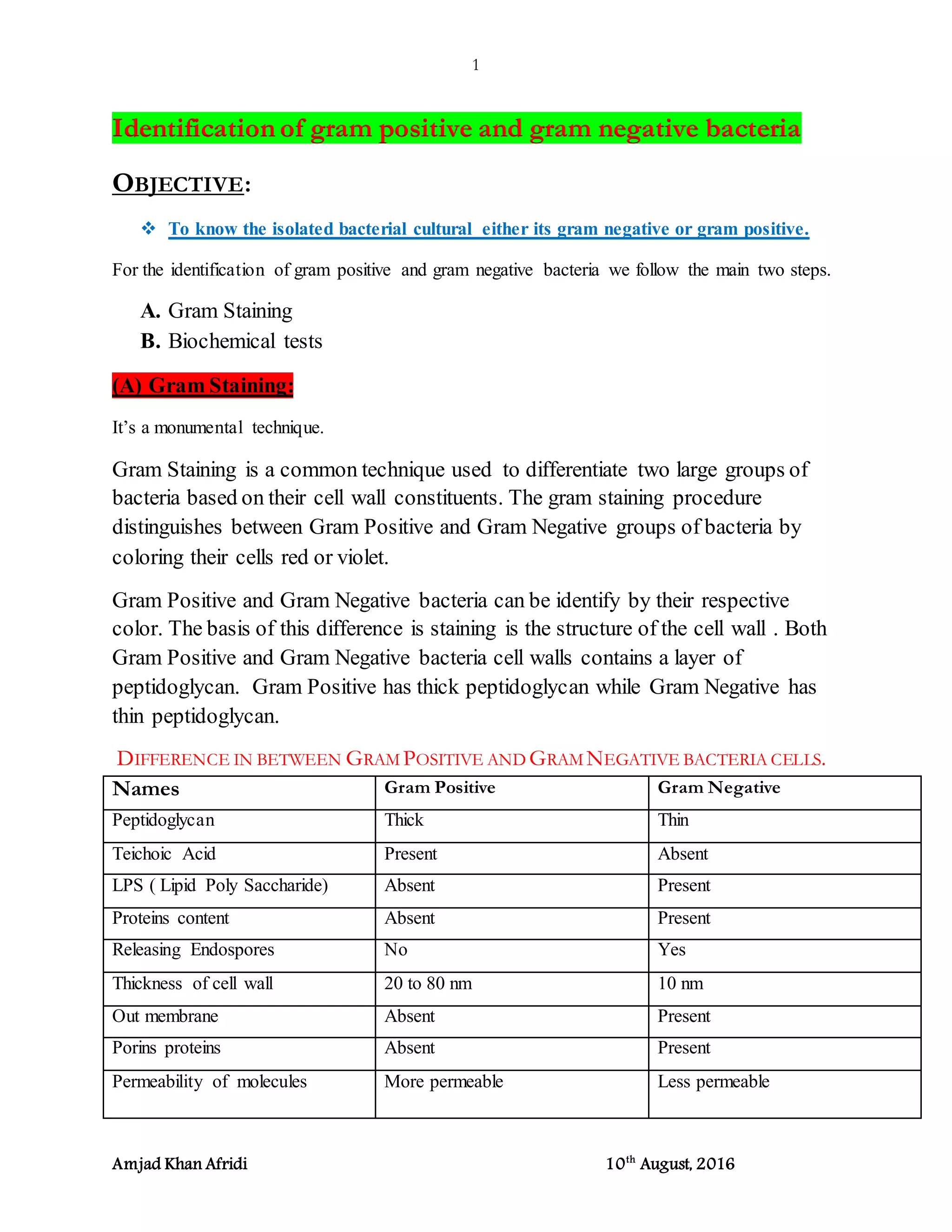 Identification of gram positive and gram negative bacteria | DOCX