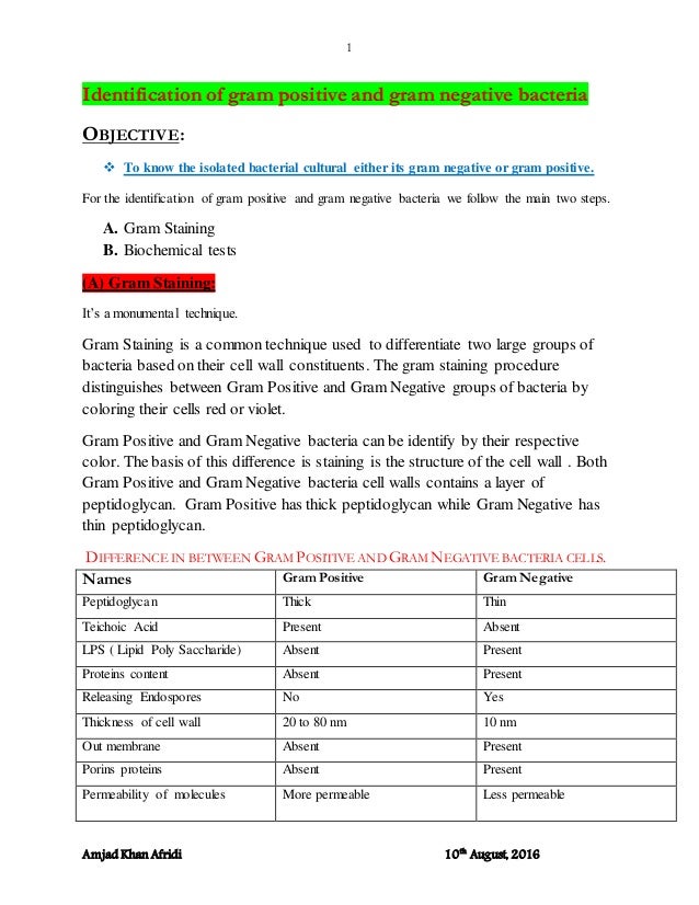 Identification Of Gram Positive And Gram Negative Bacteria