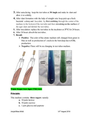 Identification of gram positive and gram negative bacteria | DOCX