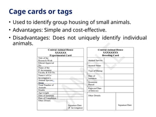 Cage cards or tags
• Used to identify group housing of small animals.
• Advantages: Simple and cost-effective.
• Disadvantages: Does not uniquely identify individual
animals.
 