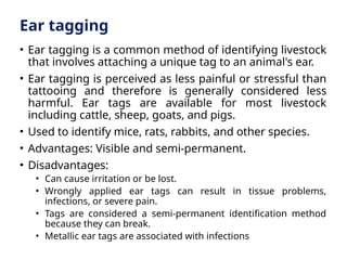 Ear tagging
• Ear tagging is a common method of identifying livestock
that involves attaching a unique tag to an animal's ear.
• Ear tagging is perceived as less painful or stressful than
tattooing and therefore is generally considered less
harmful. Ear tags are available for most livestock
including cattle, sheep, goats, and pigs.
• Used to identify mice, rats, rabbits, and other species.
• Advantages: Visible and semi-permanent.
• Disadvantages:
• Can cause irritation or be lost.
• Wrongly applied ear tags can result in tissue problems,
infections, or severe pain.
• Tags are considered a semi-permanent identification method
because they can break.
• Metallic ear tags are associated with infections
 