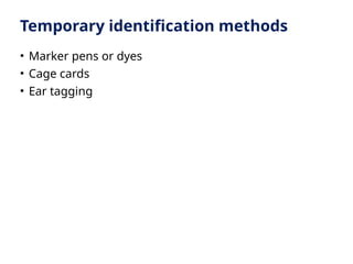 Temporary identification methods
• Marker pens or dyes
• Cage cards
• Ear tagging
 