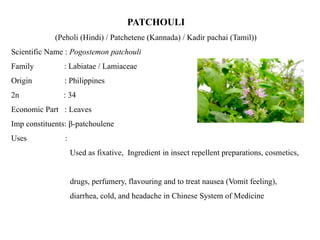 Parchula Insect Identification of MAP (P) Hort 223.pptx a | PPTX