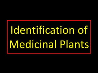 Identification of
Medicinal Plants
 