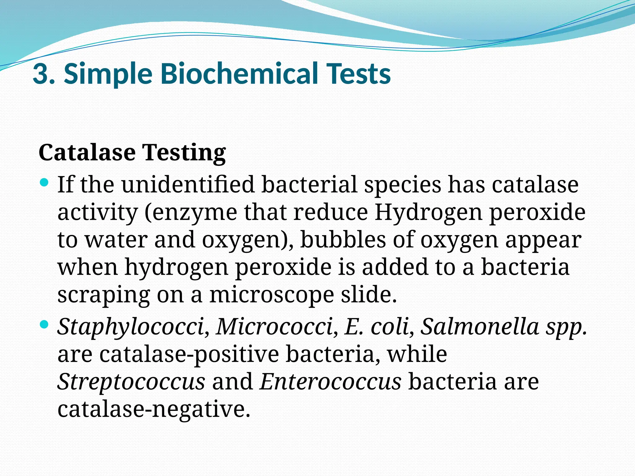 3. Simple Biochemical Tests
Catalase Testing
 If the unidentified bacterial species has catalase
activity (enzyme that reduce Hydrogen peroxide
to water and oxygen), bubbles of oxygen appear
when hydrogen peroxide is added to a bacteria
scraping on a microscope slide.
 Staphylococci, Micrococci, E. coli, Salmonella spp.
are catalase-positive bacteria, while
Streptococcus and Enterococcus bacteria are
catalase-negative.
 