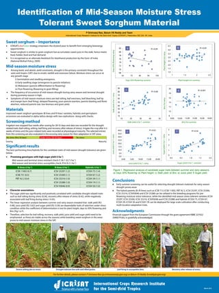 Identification of Mid-Season Moisture Stress
Tolerant Sweet Sorghum Material
March 2012
Sweet sorghum – Importance
•	ICRISAT’s BioPower strategy empowers the dryland poor to benefit from emerging bioenergy
opportunities
•	 Sweet sorghum is similar to grain sorghum but accumulates sweet juice in the stalk, hence meets
food, fodder, feed and fuel demand.
•	 It is recognized as an alternate feedstock for bioethanol production by the Govt. of India
(National Biofuel Policy, 2009).
Mid-season moisture stress
•	 Among biotic and abiotic yield constraints, drought is the primary constraint throughout the
semi-arid tropics (SAT) due to erratic rainfall and monsoon failure. Moisture stress can occur at
any growth stage
				 i) Germination and seedling emergence,
				 ii) Early seedling stage (emergence to panicle initiation)
				 iii) Midseason (panicle differentiation to flowering)
				 iv) Post-flowering (flowering to grain filling)
•	 The frequency of occurrence of mid-season drought during rainy season and terminal drought
during postrainy season is high.
•	 Symptoms of mid-season moisture stress are leaf rolling, leaf erectness, leaf bleaching, leaf tip
and margin burn (leaf firing), delayed flowering, poor panicle exertion, panicle blasting and floret
abortion, reduced panicle size, low biomass and grain yield.
Materials
Improved sweet sorghum genotypes (B-lines and R-lines/ varieties, hybrids) and germplasm
accessions are evaluated in alpha lattice design with two replications along with checks.
Screening method
Irrigation was stopped four weeks after sowing for 28-35 days and data was recorded for the drought
related traits (leaf rolling, wilting, leaf firing and recovery after release of stress). Irrigate the crop after 4-5
weeks of stress and the juice related traits were recorded at physiological maturity. The selected entries
from this screening are also evaluated in the ensuing rainy season for their adaptation in SAT areas.
P Srinivasa Rao, Belum VS Reddy and Team
International Crops Research Institute for the Semi-Arid Tropics (ICRISAT), Patancheru 502 324. AP, India.
•	 Character associations
♦	 The sugar yield was significantly and positively correlated with candidate drought related traits
such as leaf rolling during stress (0.36), recovery after release of stress (0.42), while negatively
associated with leaf firing during stress (-0.45).
♦	 The linear regression analysis between summer and rainy season revealed that stalk yield (R2:
0.48), juice yield (R2: 0.62) and sugar yield (R2: 0.56) are dependable traits of selection under stress
condition while the coefficient of determination is low for plant height, days to 50% flowering and
Brix (Fig:1:a-f).
♦	 Therefore, selection for leaf rolling, recovery, stalk yield, juice yield and sugar yield need to be
emphasized as these are stable across the seasons while breeding sweet sorghum in the areas
prone to mid-season moisture stress in the SAT.
Severe wilting due to stress. Drought tolerant line with well-filled grains. Leaf firing in susceptible lines. Recovery after release of stress.
For further details, please contact: P Srinivasa Rao (p.srinivasarao@cgiar.org) or Belum VS Reddy (b.reddy@cgiar.org)
Conclusions
♦	 Early summer screening can be useful for selecting drought tolerant materials for rainy season
drought prone areas
♦	 The hybrid parents (B-/R-lines) such as ICSB 713, ICSB 11002, PBT A2 2, ICSV 25297, ICSV 25300,
ICSV 25316, ICSV93046 and ICSV 25288 can be utilized in the breeding programs for pre-
flowering moisture stress tolerance, while the identified mid-season stress tolerant varieties (ICSV
25297, ICSV 25300, ICSV 25316, ICSV93046 and ICSV 25288) and hybrids (ICSSH 75, ICSSH 67,
ICSSH 39, ICSSH 50 and ICSSH 19) can be deployed for large scale cultivation after conducting
multi-location adaptation trials.
Acknowledgments
Financial support from the European Commission through the grant agreement KBBE 227422
(SWEETFUEL) is gratefully acknowledged.
B-lines (t ha-1
) R-lines (t ha-1
) Hybrids (t ha-1
)
ICSB 11002 (0.7) ICSV 25297 (1.2) ICSSH 75 (1.4)
ICSB 731 (0.5) ICSV 25300 (1.1) ICSSH 67 (1.2)
PBT A2 2 (0.4) ICSV 25316 (1.0) ICSSH 39 (1.1)
ICSV 25288 (1.0) ICSSH 19 (1.1)
ICSV 93046 (0.9) ICSSH 50 (1.0)
Brix (%)-summer
Brix(%)-rainy
20
18
16
14
12
10
8
8.00 10.00 12.00 14.00 16.00 18.00
R2
=0.001d
Stalk yield (t ha-1
) -summer
Stalkyield(tha-1
)-rainy
90
80
70
60
50
40
30
20
10
10 20 30 40 50
R2
=0.48
c
Plant height (m)-summer
Plantheight(m)-rainy
R2
=0.09
1 1.5 2 2.5
2.5
4.5
4.0
3.5
3.0
2.0
1.5
1.0
b
Days 50% flowering-summer
Days50%flowering-rainy
65
68
70
72
74
76
78
80
82
75 85 95 105
R2
=0.09a
Juice yield (t ha-1
)- rainy
Juiceyield(tha-1
)-rainy
0.0
5.0
10.0
15.0
20.0
25.0
30.0
35.0
40.0
0.00 5.00 10.00 15.00 20.00
R2
=0.62
e
Sugar yield (t ha-1
) -summer
Sugaryield(tha-1
)-rainy
5
4
3
2
1
0
0.0 0.5 1.0 1.5 2.0
R2
=0.56f
Figure 1. Regression analysis of candidate sugar traits between summer and rainy seasons.
a) Days 50% flowering; b) Plant height; c) Stalk yield; d) Brix; e) Juice yield; f) Sugar yield.
No stress (first 30 days) Under stress (28-35 days) No No stress s
Sowing Maturity
Significant results
The best performing lines/hybrids for the candidate traits of mid-season drought tolerance are given
below.
•	 Promising genotypes with high sugar yield (t ha-1
)
			 Mid-season and terminal stress resistant check: E 36-1 (0.7 t ha-1
)
			 Mid-season and terminal stress susceptible check: R16 (0.2 t ha-1
)
 