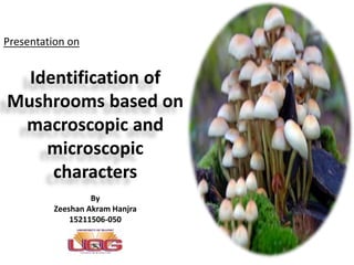 Identification of
Mushrooms based on
macroscopic and
microscopic
characters
Presentation on
By
Zeeshan Akram Hanjra
15211506-050
 