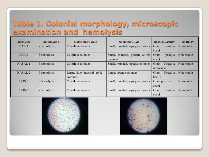 Identification of normal bacteriological flora of skin,