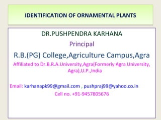 DR.PUSHPENDRA KARHANA
Principal
R.B.(PG) College,Agriculture Campus,Agra
Affiliated to Dr.B.R.A.University,Agra(Formerly Agra University,
Agra),U.P.,India
Email: karhanapk99@gmail.com , pushpraj99@yahoo.co.in
Cell no. +91-9457805676
IDENTIFICATION OF ORNAMENTAL PLANTSIDENTIFICATION OF ORNAMENTAL PLANTS
 