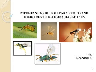 IMPORTANT GROUPS OF PARASITOIDS AND
THEIR IDENTIFICATION CHARACTERS
By,
L.N.NISHA
1
 