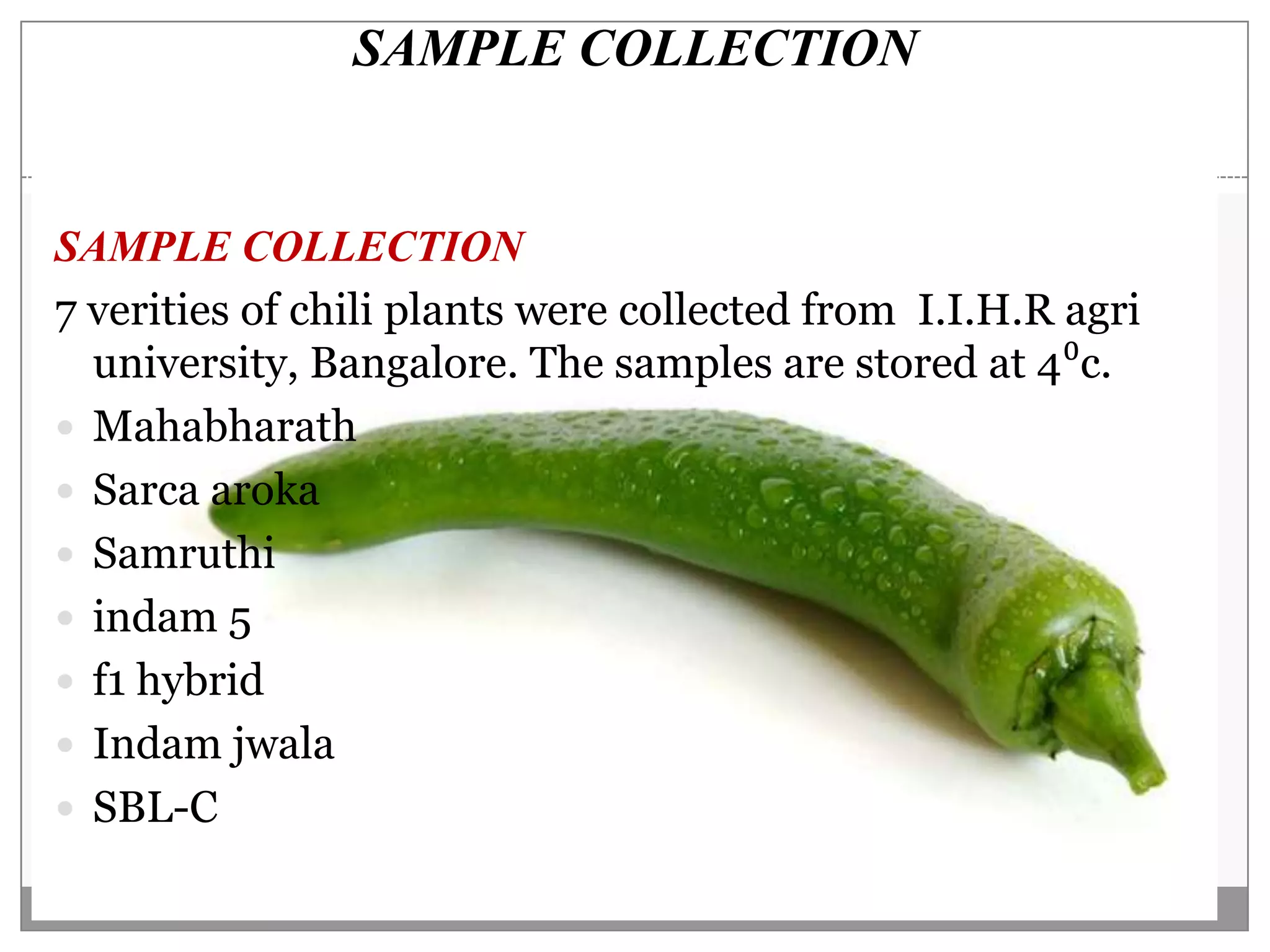 SAMPLE COLLECTION


SAMPLE COLLECTION
7 verities of chili plants were collected from I.I.H.R agri
  university, Bangalore. The samples are stored at 4⁰c.
 Mahabharath
 Sarca aroka
 Samruthi
 indam 5
 f1 hybrid
 Indam jwala
 SBL-C
 