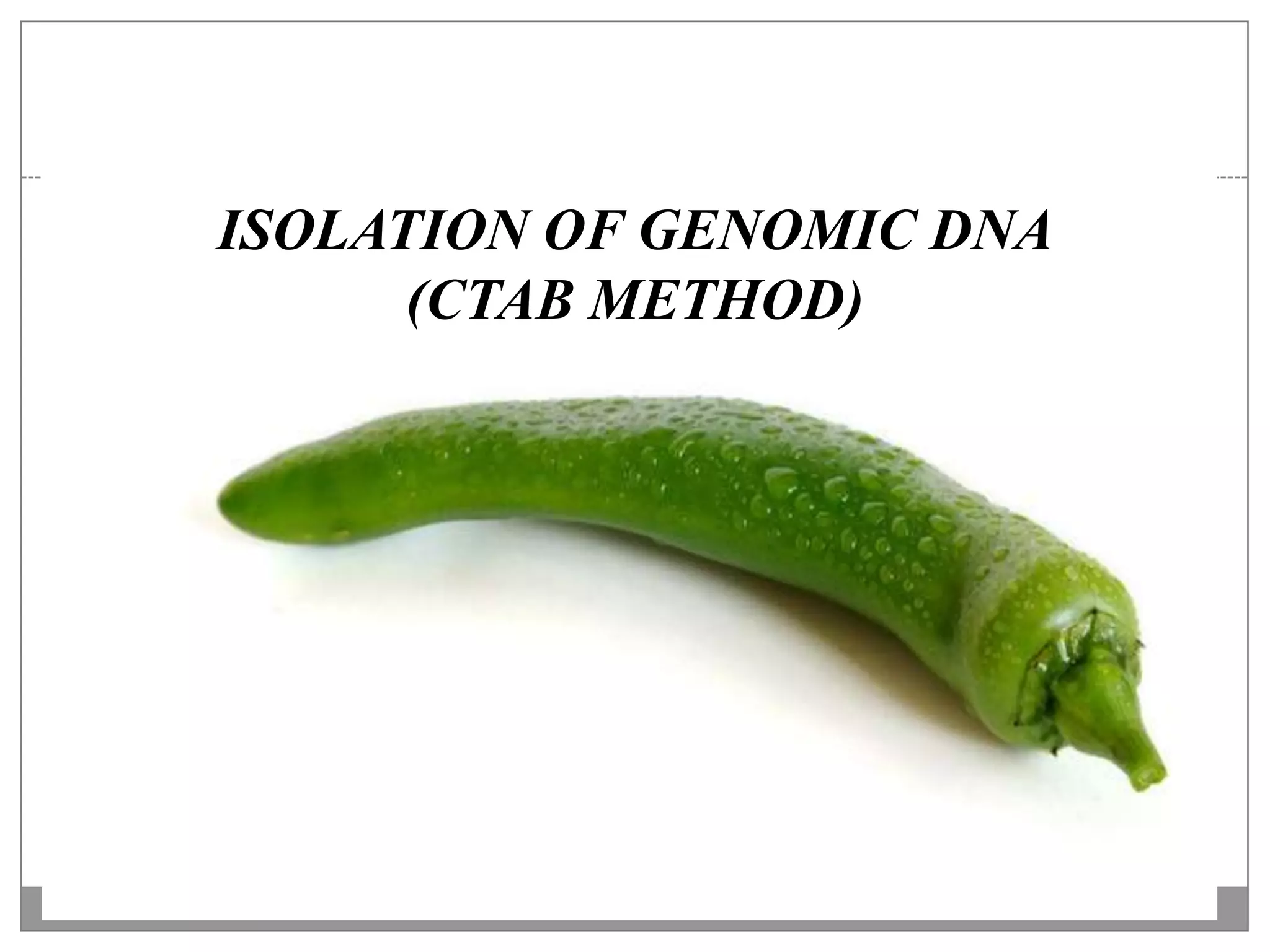 ISOLATION OF GENOMIC DNA
      (CTAB METHOD)
 