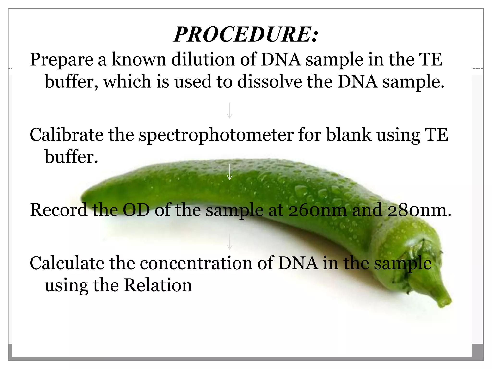 PROCEDURE:
Prepare a known dilution of DNA sample in the TE
 buffer, which is used to dissolve the DNA sample.

Calibrate the spectrophotometer for blank using TE
 buffer.

Record the OD of the sample at 260nm and 280nm.

Calculate the concentration of DNA in the sample
 using the Relation
 