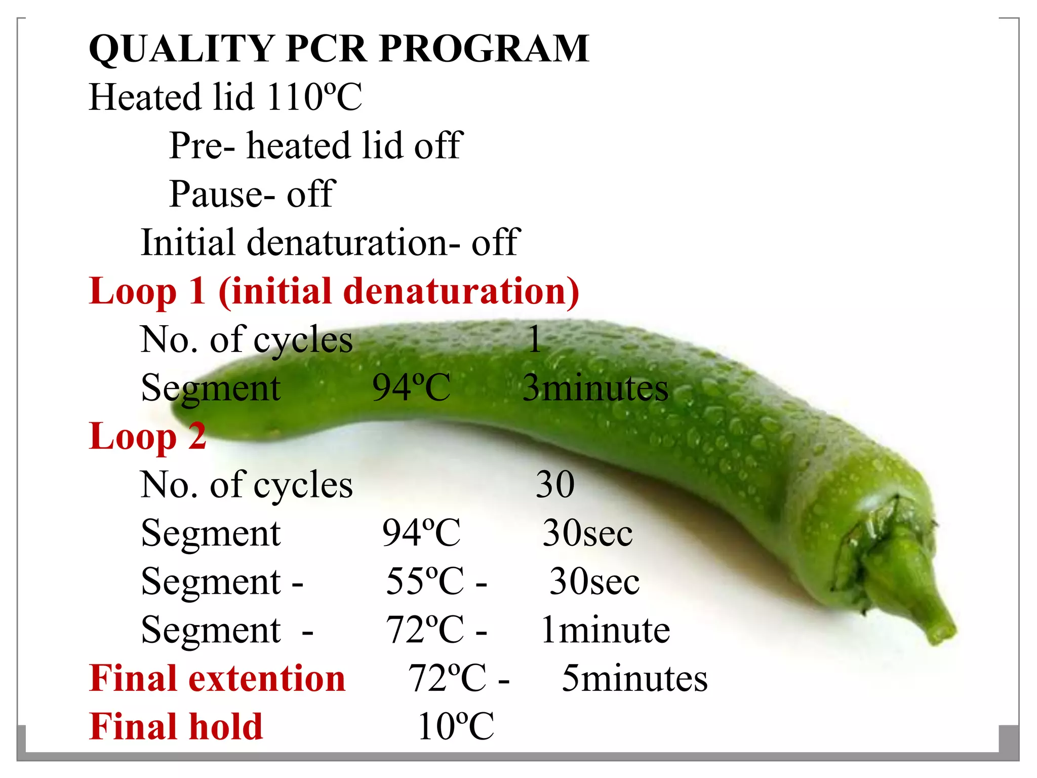 QUALITY PCR PROGRAM
Heated lid 110ºC
     Pre- heated lid off
     Pause- off
   Initial denaturation- off
Loop 1 (initial denaturation)
   No. of cycles             1
   Segment        94ºC       3minutes
Loop 2
   No. of cycles              30
   Segment         94ºC       30sec
   Segment -       55ºC -      30sec
   Segment -       72ºC - 1minute
Final extention      72ºC - 5minutes
Final hold           10ºC
 
