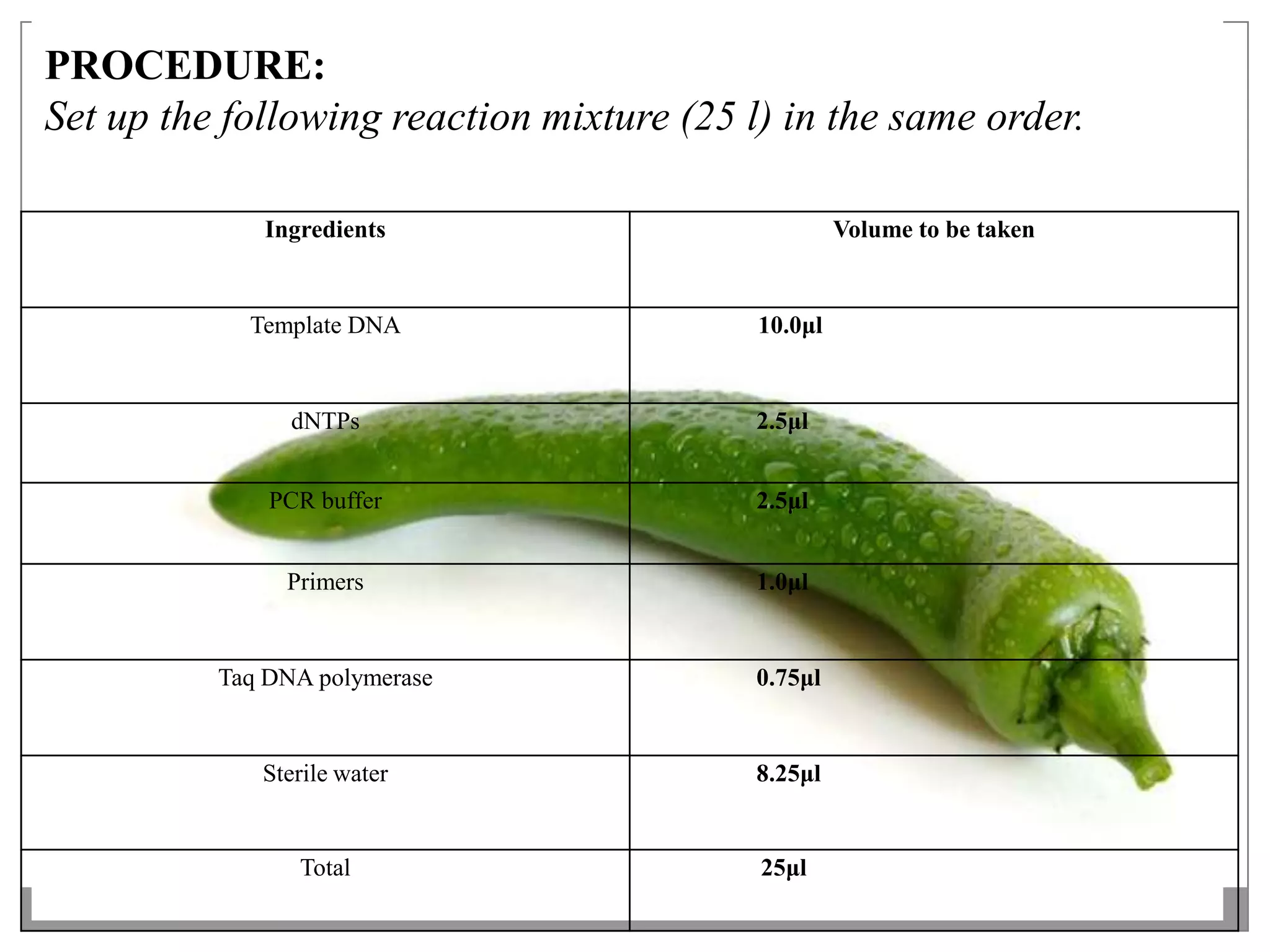 PROCEDURE:
Set up the following reaction mixture (25 l) in the same order.

             Ingredients                            Volume to be taken


            Template DNA                   10.0μl


                dNTPs                      2.5μl


              PCR buffer                   2.5μl


               Primers                     1.0μl


          Taq DNA polymerase               0.75μl


             Sterile water                 8.25μl


                Total                      25μl
 
