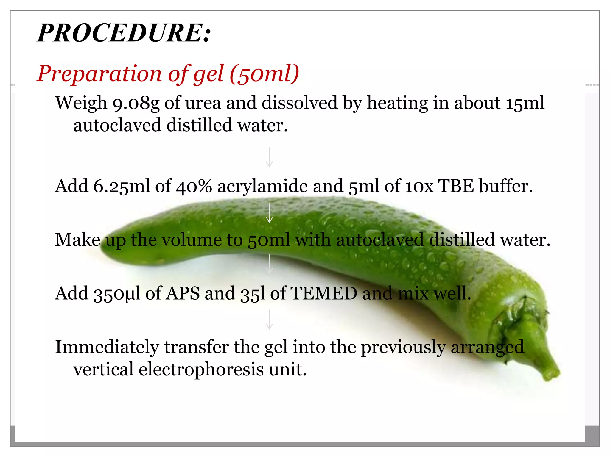 PROCEDURE:
Preparation of gel (50ml)
 Weigh 9.08g of urea and dissolved by heating in about 15ml
  autoclaved distilled water.


 Add 6.25ml of 40% acrylamide and 5ml of 10x TBE buffer.

 Make up the volume to 50ml with autoclaved distilled water.

 Add 350μl of APS and 35l of TEMED and mix well.

 Immediately transfer the gel into the previously arranged
   vertical electrophoresis unit.
 