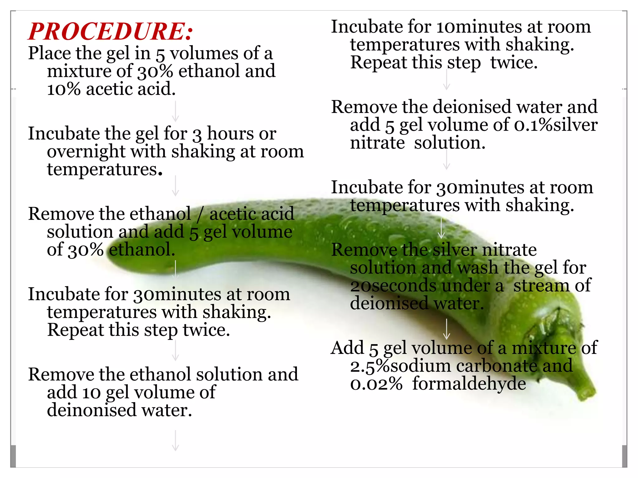 PROCEDURE:                         Incubate for 10minutes at room
Place the gel in 5 volumes of a      temperatures with shaking.
  mixture of 30% ethanol and         Repeat this step twice.
  10% acetic acid.
                                   Remove the deionised water and
Incubate the gel for 3 hours or      add 5 gel volume of 0.1%silver
  overnight with shaking at room     nitrate solution.
  temperatures.
                                   Incubate for 30minutes at room
Remove the ethanol / acetic acid     temperatures with shaking.
  solution and add 5 gel volume
  of 30% ethanol.                  Remove the silver nitrate
                                     solution and wash the gel for
Incubate for 30minutes at room       20seconds under a stream of
  temperatures with shaking.         deionised water.
  Repeat this step twice.
                                   Add 5 gel volume of a mixture of
Remove the ethanol solution and      2.5%sodium carbonate and
  add 10 gel volume of               0.02% formaldehyde
  deinonised water.
 