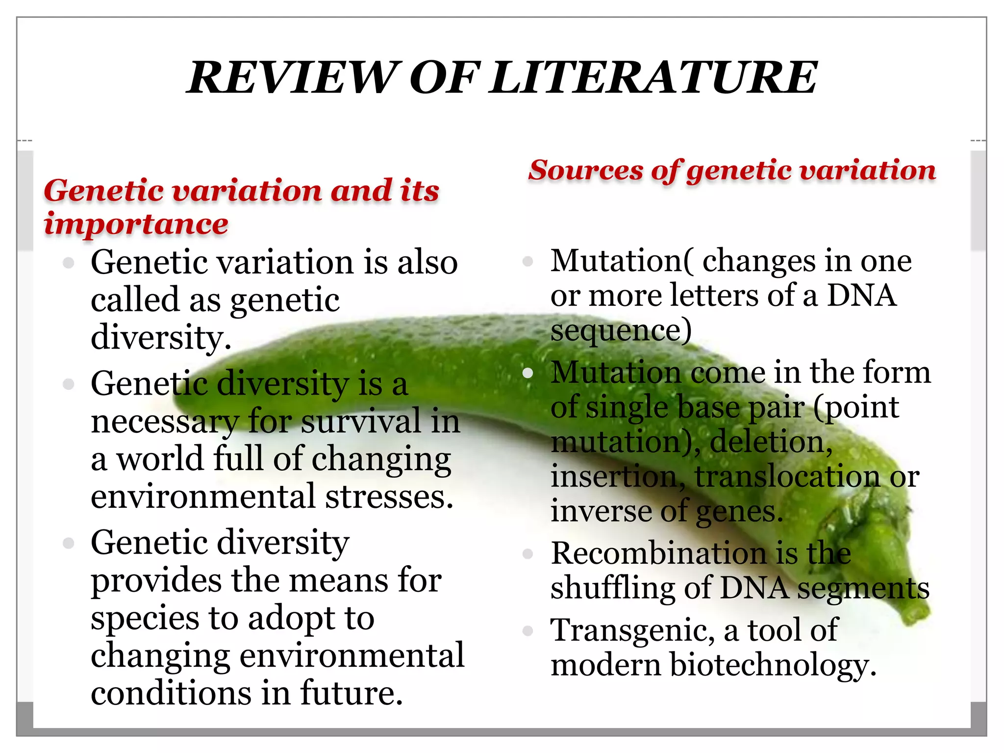 REVIEW OF LITERATURE
                               Sources of genetic variation
Genetic variation and its
importance
  Genetic variation is also    Mutation( changes in one
   called as genetic             or more letters of a DNA
   diversity.                    sequence)
  Genetic diversity is a       Mutation come in the form
   necessary for survival in     of single base pair (point
                                 mutation), deletion,
   a world full of changing      insertion, translocation or
   environmental stresses.       inverse of genes.
  Genetic diversity            Recombination is the
   provides the means for        shuffling of DNA segments
   species to adopt to          Transgenic, a tool of
   changing environmental        modern biotechnology.
   conditions in future.
 