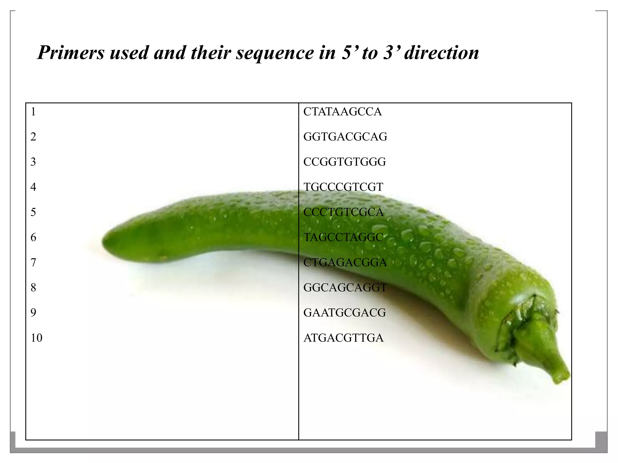 Primers used and their sequence in 5’ to 3’ direction

1                                  CTATAAGCCA

2                                  GGTGACGCAG

3                                  CCGGTGTGGG

4                                  TGCCCGTCGT

5                                  CCCTGTCGCA

6                                  TAGCCTAGGC

7                                  CTGAGACGGA

8                                  GGCAGCAGGT

9                                  GAATGCGACG

10                                 ATGACGTTGA
 