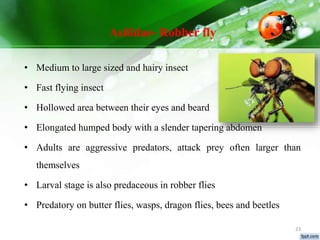 Identification of predators ppt | PPTX