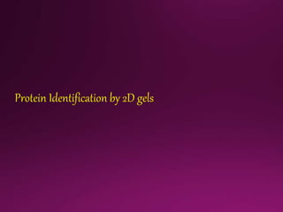 Protein Identification by 2D gels
 