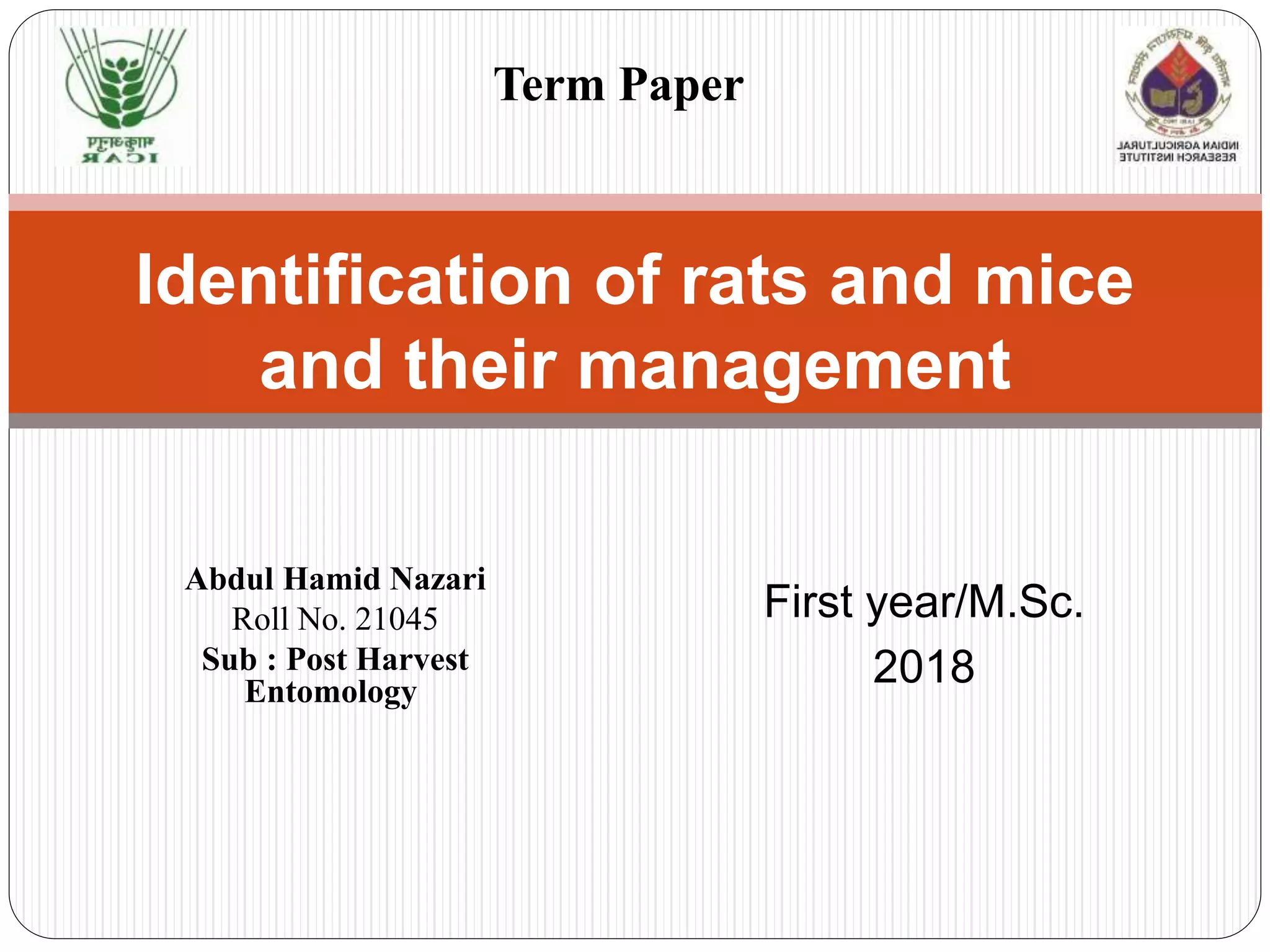Identification of rats and mice and their management | PPTX