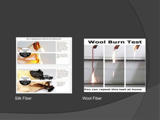 Silk Fiber Wool Fiber
 