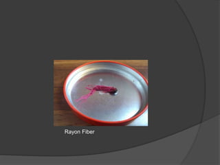 Rayon Fiber
 