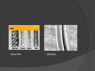 Silk fiberWool fiber
 