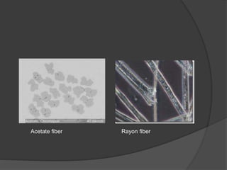 Acetate fiber Rayon fiber
 