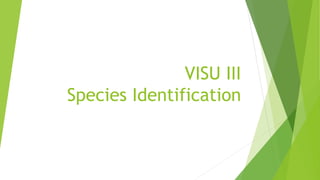 VISU III
Species Identification
 