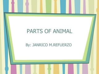 PARTS OF ANIMAL
By: JANRICO M.REFUERZO
 