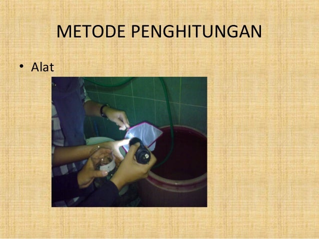 Identifikasi hitung-kepadatan-nyamuk