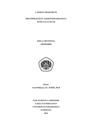 1
LAPORAN PRAKTIKUM
IDENTIFIKASI DAN TAKSONOMI SERANGGA
JENIS LALAT BUAH
JOSUA CRYSTOVEL
150320160005
Dosen:
Yusuf Hidayat, S.P., M.Phill., Ph.D
PASCASARJANA AGRONOMI
FAKULTAS PERTANIAN
UNIVERSITAS PADJADJARAN
SUMEDANG
2016
 