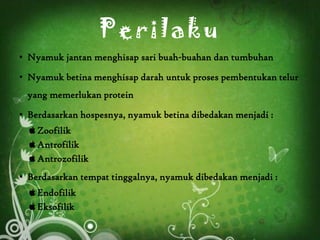 Perilaku
• Nyamuk jantan menghisap sari buah-buahan dan tumbuhan

• Nyamuk betina menghisap darah untuk proses pembentukan telur
 yang memerlukan protein

• Berdasarkan hospesnya, nyamuk betina dibedakan menjadi :
   Zoofilik
   Antrofilik
   Antrozofilik
• Berdasarkan tempat tinggalnya, nyamuk dibedakan menjadi :
   Endofilik
   Eksofilik
 