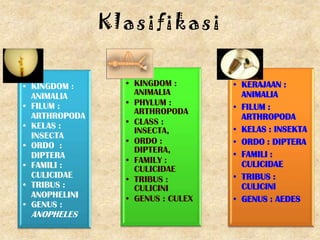 Klasifikasi


• KINGDOM :      • KINGDOM :       • KERAJAAN :
  ANIMALIA         ANIMALIA          ANIMALIA
• FILUM :        • PHYLUM :        • FILUM :
                   ARTHROPODA
  ARTHROPODA                         ARTHROPODA
• KELAS :        • CLASS :
                   INSECTA,        • KELAS : INSEKTA
  INSECTA
                 • ORDO :          • ORDO : DIPTERA
• ORDO :           DIPTERA,
  DIPTERA                          • FAMILI :
                 • FAMILY :          CULICIDAE
• FAMILI :         CULICIDAE
  CULICIDAE      • TRIBUS :        • TRIBUS :
• TRIBUS :         CULICINI          CULICINI
  ANOPHELINI     • GENUS : CULEX   • GENUS : AEDES
• GENUS :
 ANOPHELES
 