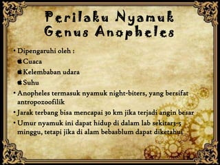 Perilaku Nyamuk
          Genus Anopheles
• Dipengaruhi oleh :
   Cuaca
   Kelembaban udara
   Suhu
• Anopheles termasuk nyamuk night-biters, yang bersifat
  antropozoofilik
• Jarak terbang bisa mencapai 30 km jika terjadi angin besar
• Umur nyamuk ini dapat hidup di dalam lab sekitar3-5
  minggu, tetapi jika di alam bebasblum dapat diketahui
 