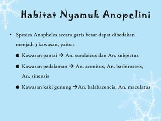 Habitat Nyamuk Anopelini

• Spesies Anopheles secara garis besar dapat dibedakan
  menjadi 3 kawasan, yaitu :

   Kawasan pantai  An. sundaicus dan An. subpictus

   Kawasan pedalaman  An. aconitus, An. barbirostris,
     An. sinensis

   Kawasan kaki gunung An. balabacencis, An. maculatus
 