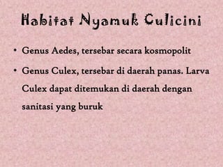 Habitat Nyamuk Culicini

• Genus Aedes, tersebar secara kosmopolit

• Genus Culex, tersebar di daerah panas. Larva
 Culex dapat ditemukan di daerah dengan
 sanitasi yang buruk
 