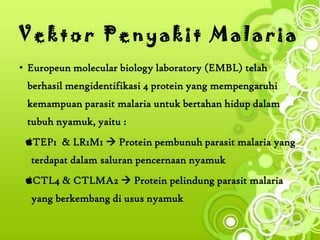 Vektor Penyakit Malaria
• Europeun molecular biology laboratory (EMBL) telah
 berhasil mengidentifikasi 4 protein yang mempengaruhi
 kemampuan parasit malaria untuk bertahan hidup dalam
 tubuh nyamuk, yaitu :
 TEP1 & LR1M1  Protein pembunuh parasit malaria yang
  terdapat dalam saluran pencernaan nyamuk
 CTL4 & CTLMA2  Protein pelindung parasit malaria
  yang berkembang di usus nyamuk
 