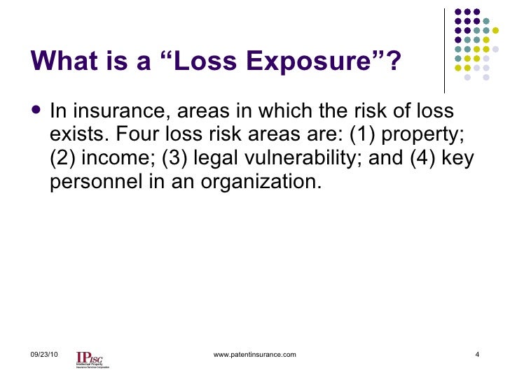 Identifing And Controlling Intellectual Property Loss Exposures
